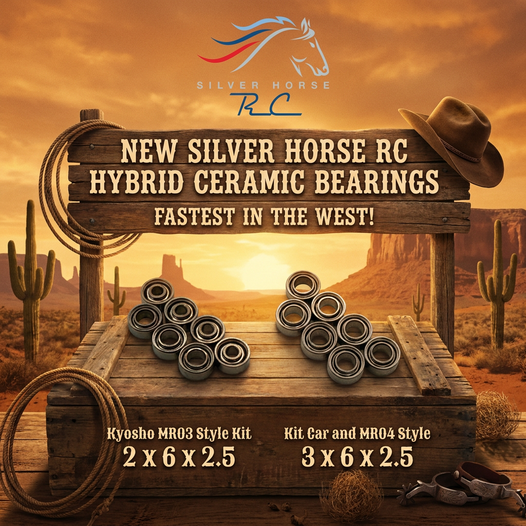 Silver Horse RC Ceramic Racing Bearing Kit — MR03 / Pan & MR04